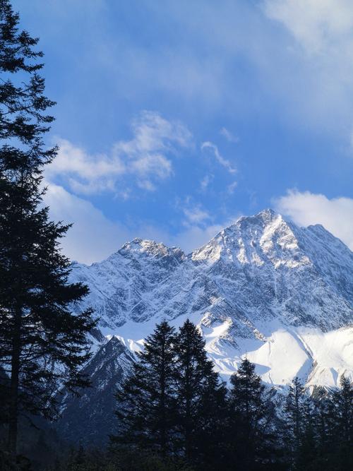 US federal workers turn to food banks to survive